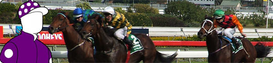 our-horse-header Our Horse Header