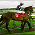 Our Horse