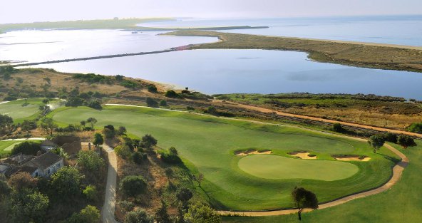 Onyria-Palmares-2 Onyria-Palmares-2