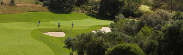Onyria-Palmares-3 Onyria-Palmares-3