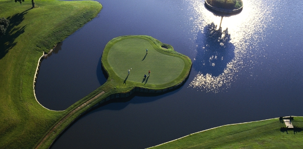 Sawgrass