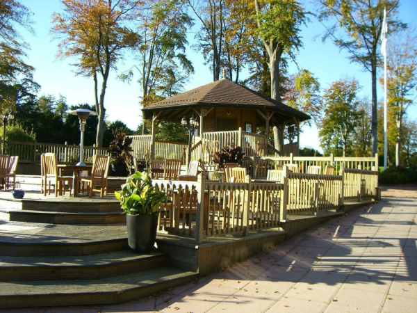 forest-pines-garden