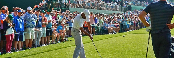 tiger woods